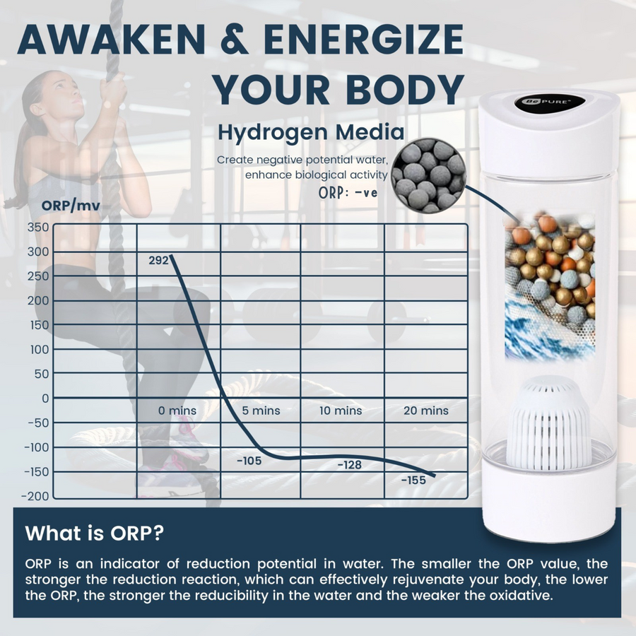 Bepure Premium Alkaline Water Bottle | Get Balanced pH Up to 9 | Get Negative ORP Water Instantly | BPA Free
